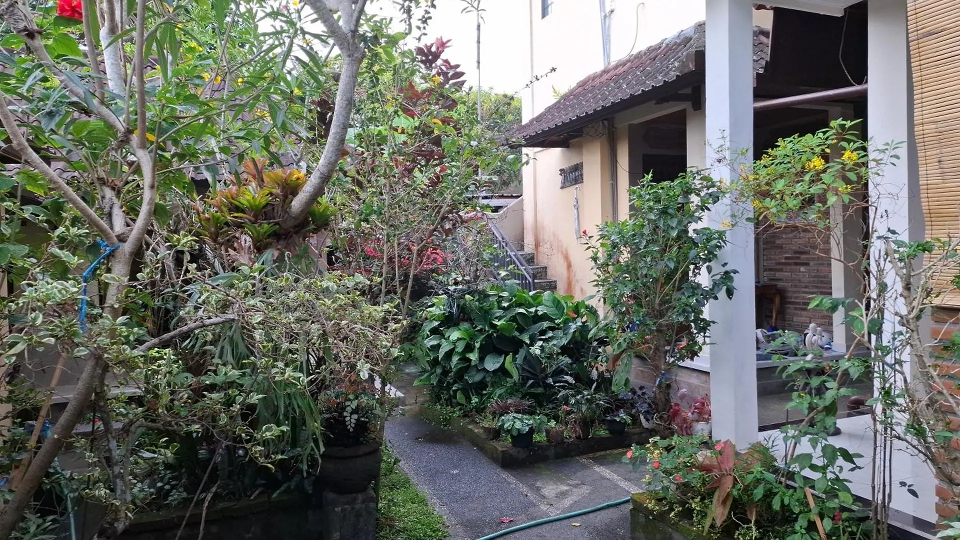 Evan House Homestay With Kitchens And Private Balconies Ubud  0*, Ubud (Bali)