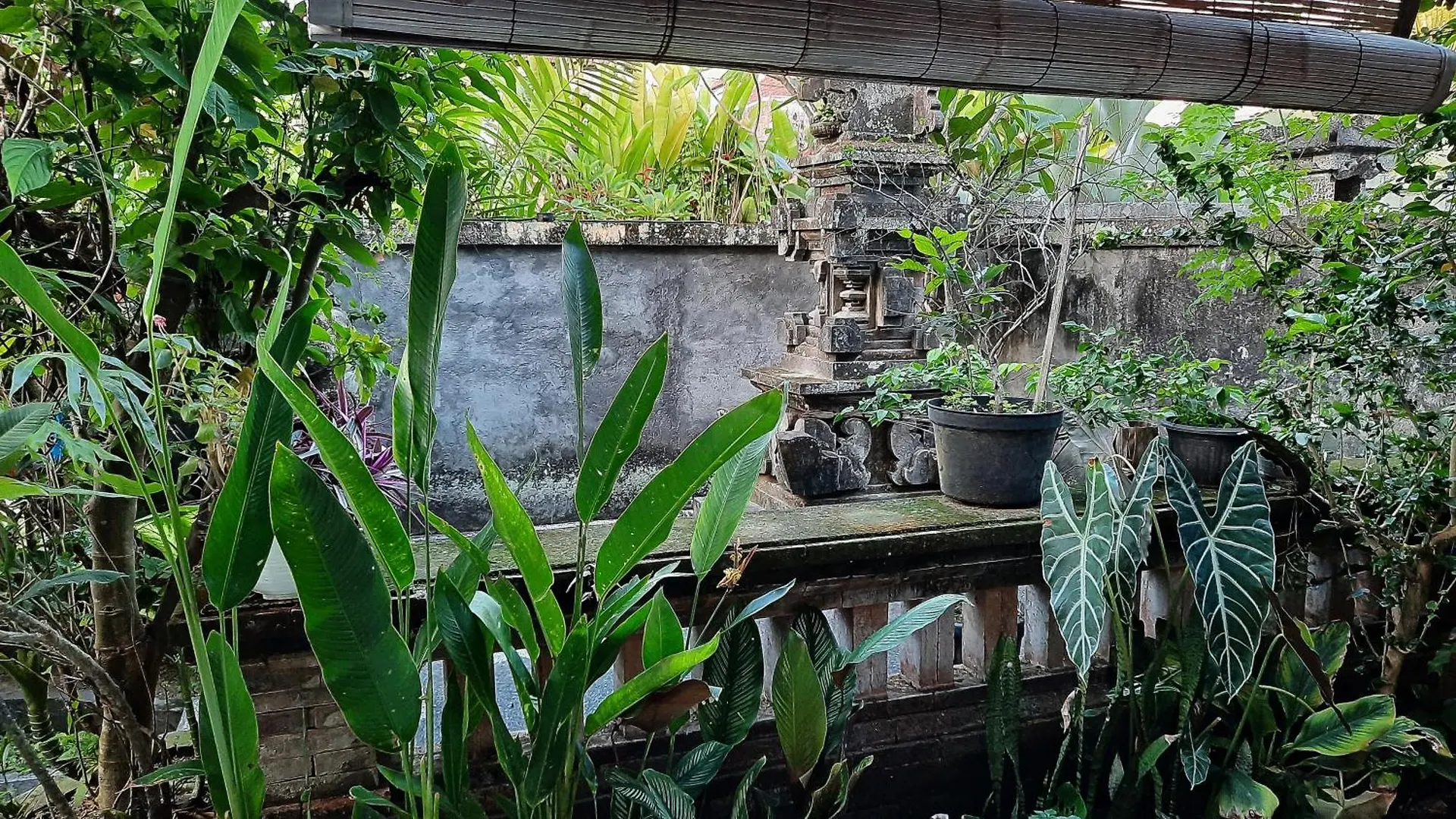 Evan House Homestay With Kitchens And Private Balconies Ubud  Guest house