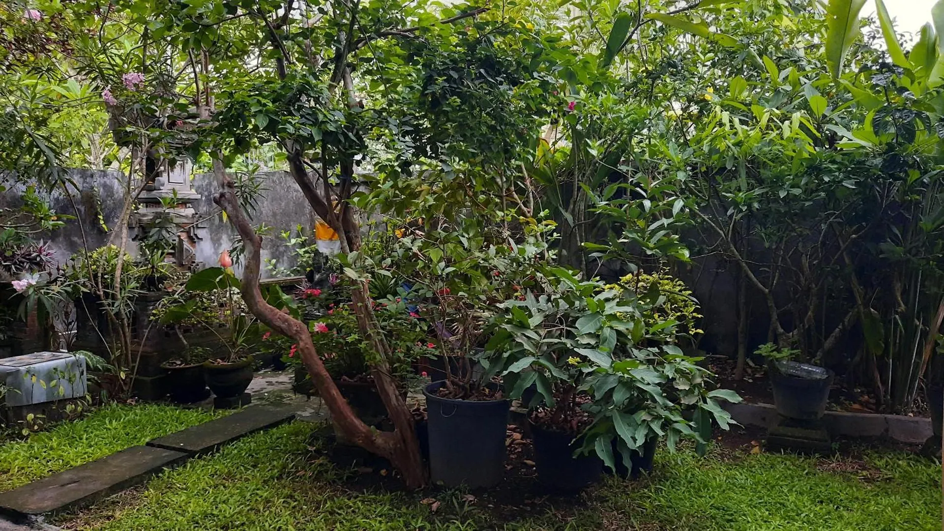Guest house Evan House Homestay With Kitchens And Private Balconies Ubud  Indonesia